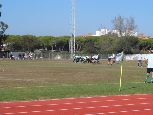 GALGOS RUGBY 1