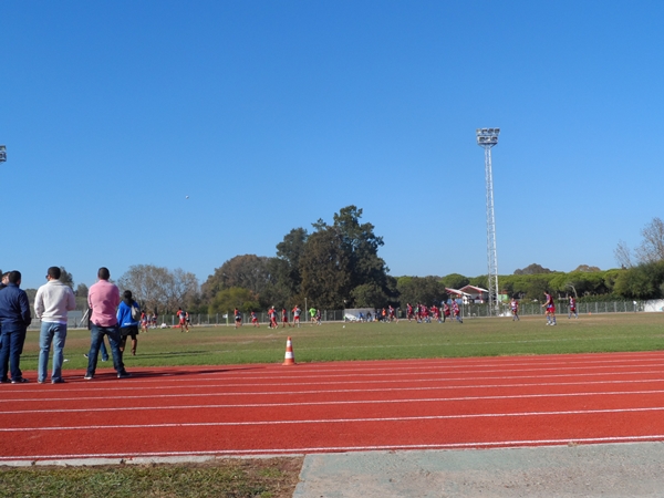 GALGOS RUGBY 14
