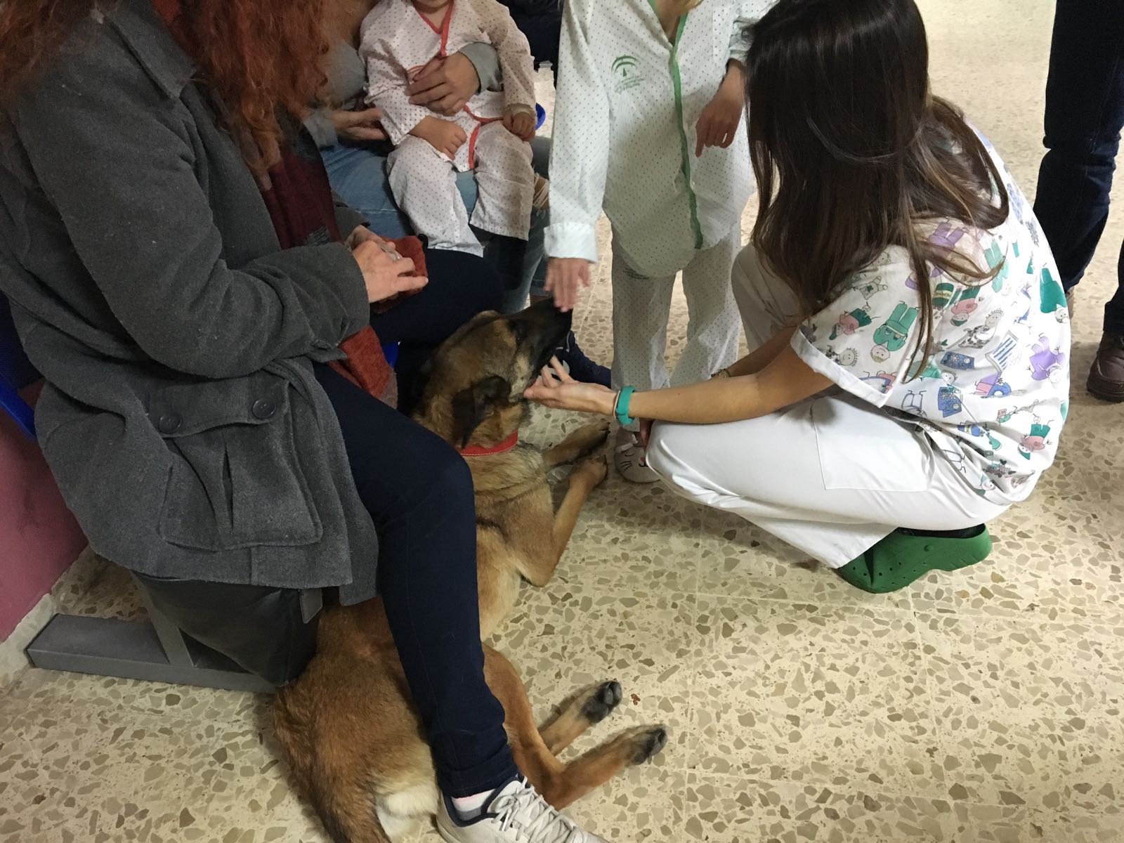 visita-canina-hospital 1