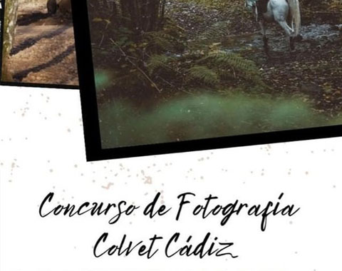 CONCURSO DE FOTOGRAFÍA